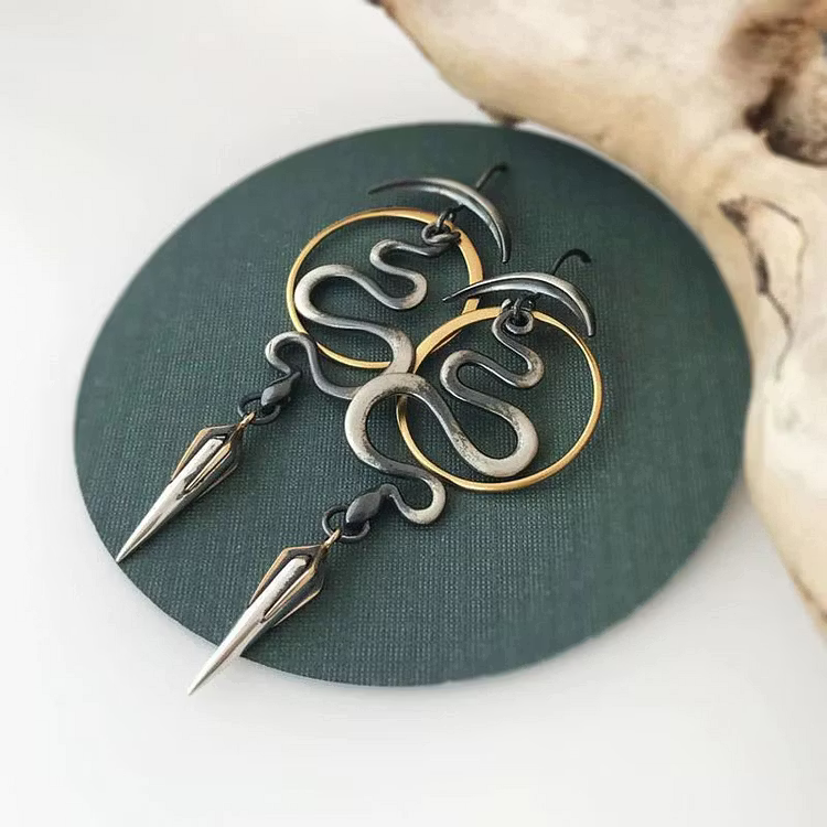 Aoaome Irregular Geometric Spiral Serpentine Earrings