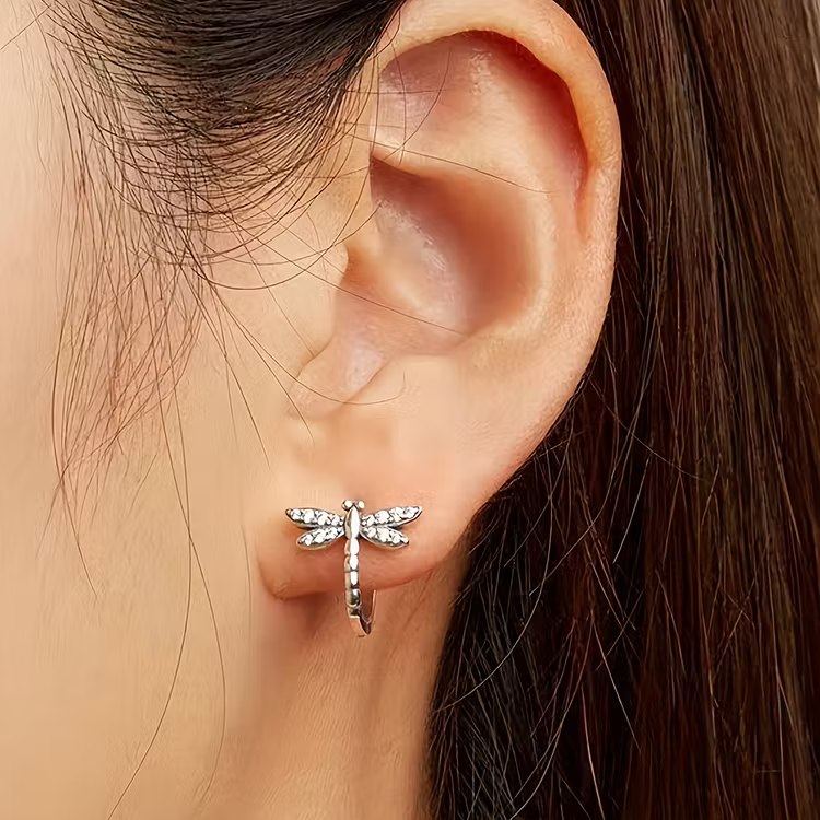 Aoaome Vintage Round Inlaid Zirconia Dragonfly Earrings