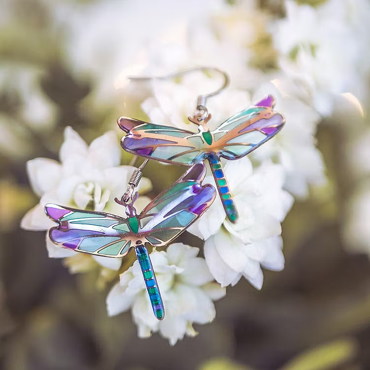 Aoaome Unique Cute Dragonfly Fairy Earrings